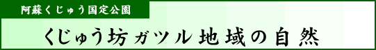 阿蘇くじゅう国立公園　くじゅう坊ガツル地域の自然