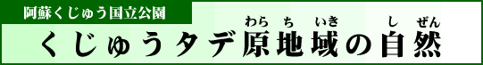 阿蘇くじゅう国立公園　くじゅうタデ原地域の自然