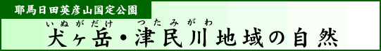 耶馬日田英彦山国定公園　犬ヶ岳・津民川地域の自然