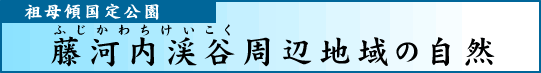 祖母傾国定公園　藤河内渓谷周辺地域の自然