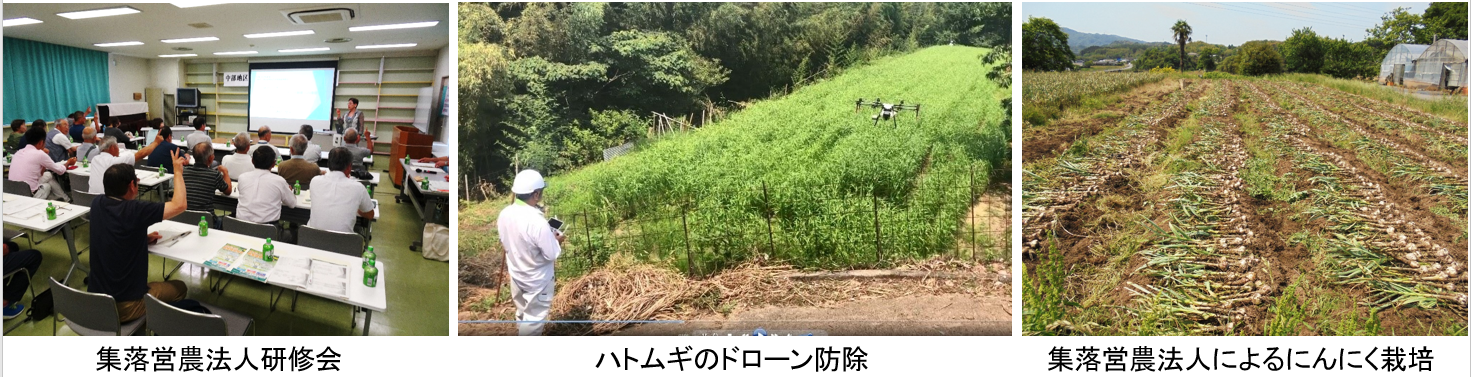 集落営農・水田畑地化班