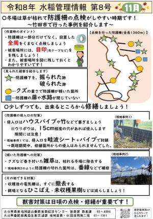 水稲管理情報 11月