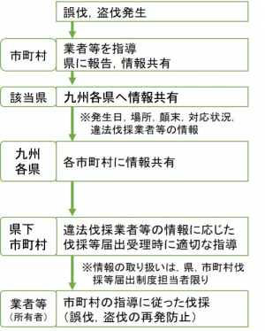 フロー図