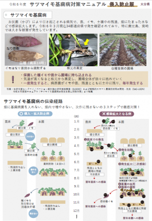 サツマイモ基腐病対策マニュアル（侵入防止版）