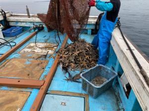 海底沈殿物の収集
